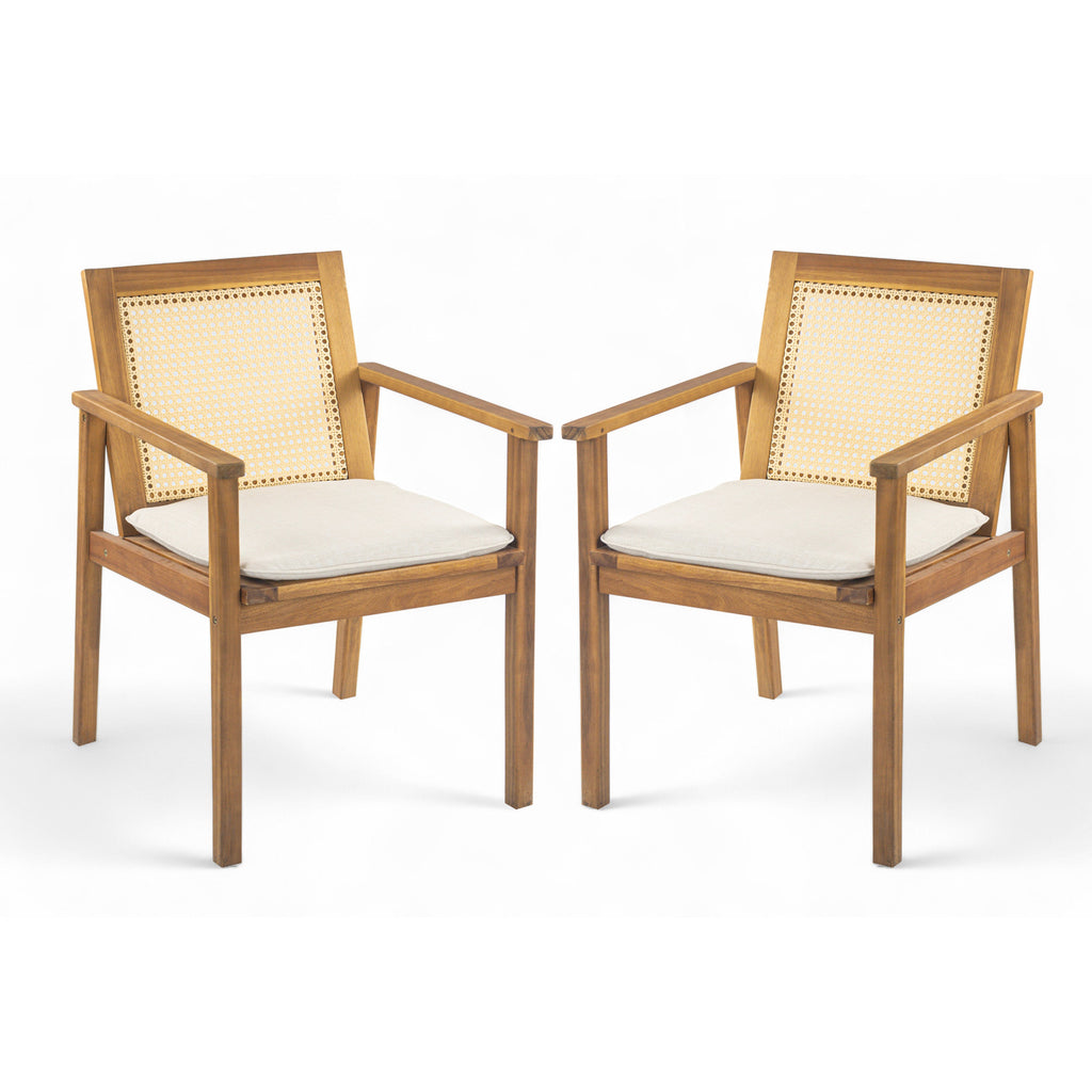 Preston Outdoor Dining Chair with Cushion (Set of 2)
