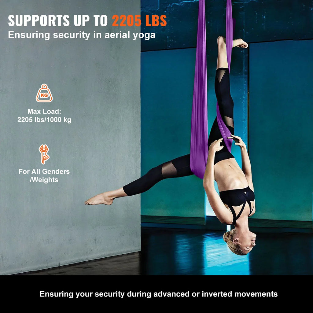 VEVOR SucceBuy Aerial Yoga Hammock Starter Kit For All Levels Fitness