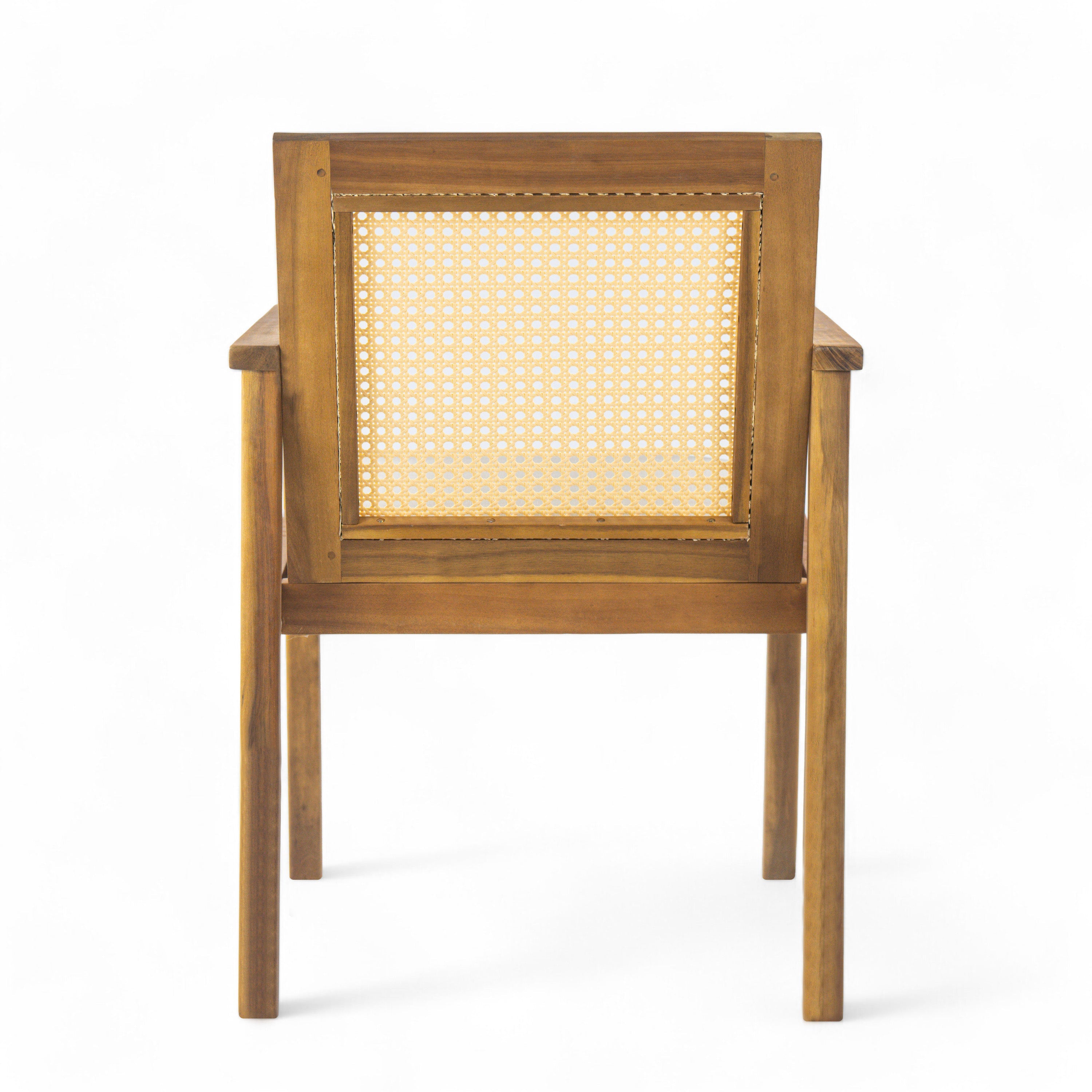 Preston Outdoor Dining Chair with Cushion (Set of 2)
